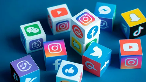 Social Media Management Services